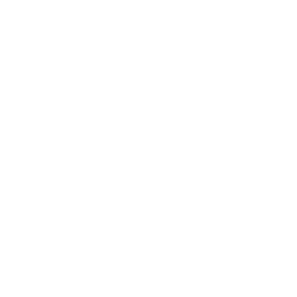 IHA Partners